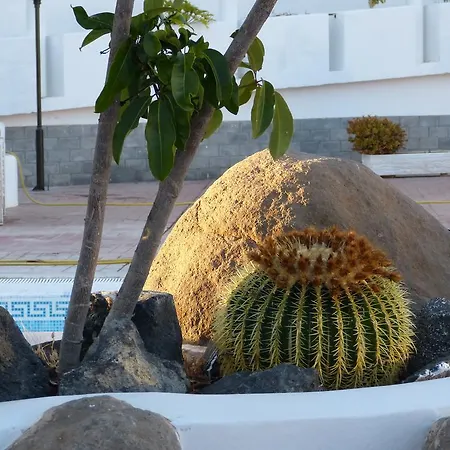 Suncanarias Casa Los Halcones * Чайофа